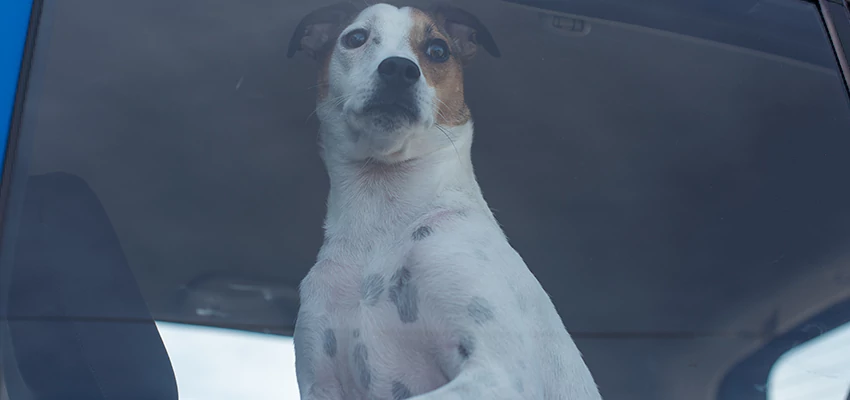 Car Lockout Solutions in Home Gardens, California